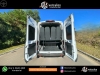 TRANSIT 2.0 ECOBLUE DIESEL MINIBUS 17 - 2022 - GRAMADO