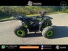 FORCE 125 CC - 2024 - GRAMADO