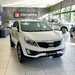 SPORTAGE LX 2.0 FLEX AUT - 2013 - GUAPORé