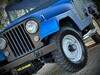 JEEP WILLYS - 1978 - ARROIO DO MEIO