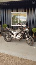 fazer 250  2014 teutonia