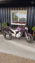 ys 250 fazer  fazer l. edition  blueflex  2012 teutonia