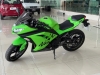 NINJA 300  - 2013 - VACARIA