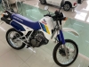 XLX 350R  - 1988 - VACARIA