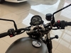 STREET TWIN TWIN - 2020 - VACARIA