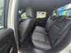 STRADA 1.3 FIREFLY FLEX VOLCANO CD MANUAL - 2023 - ENCANTADO
