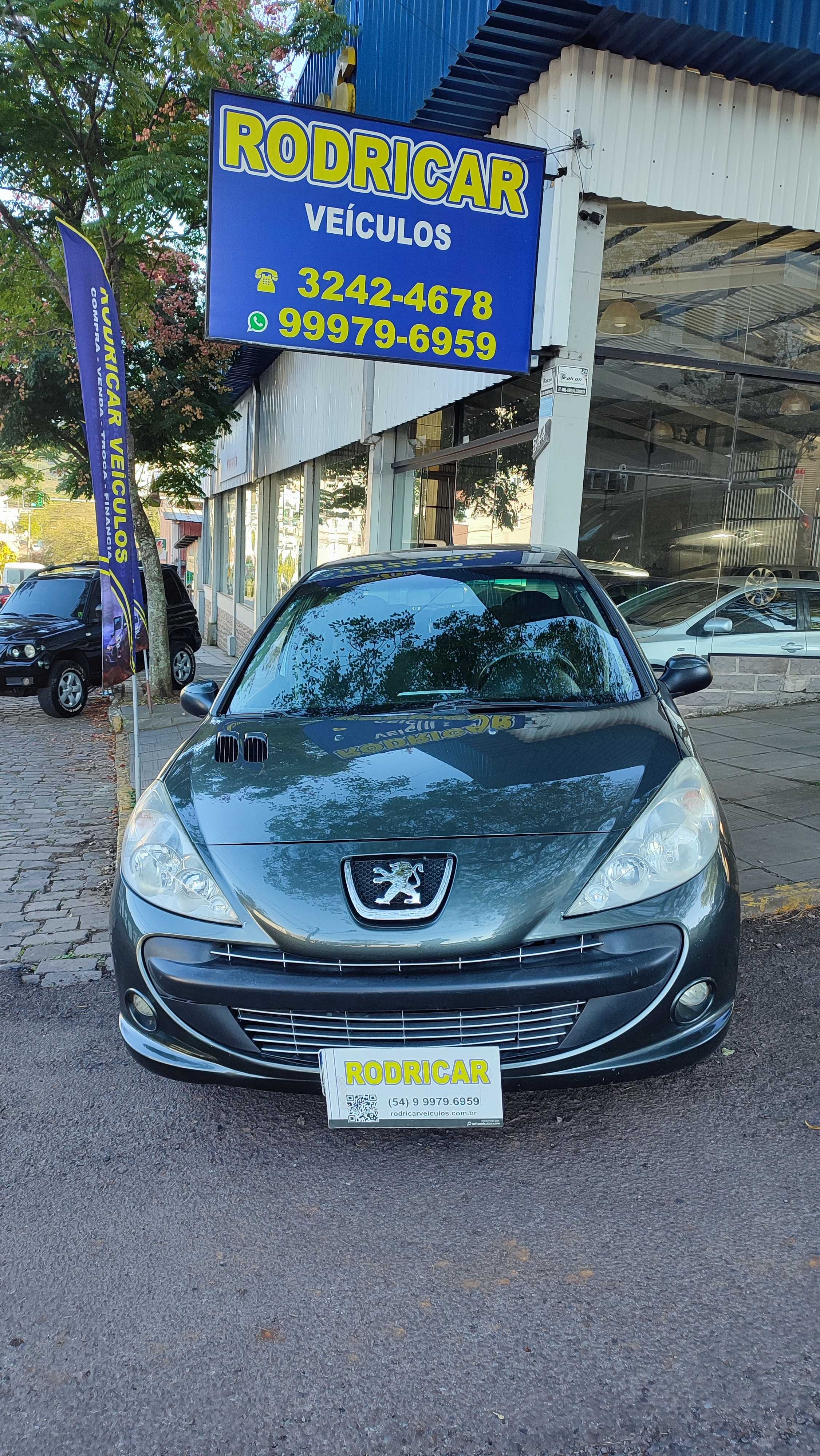 207 PASSIONE XRS FLEX - 2011 - NOVA PRATA