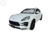 MACAN 3.6 24V V6 TURBO 4P AUTOMÁTICO - 2015 - PORTO ALEGRE