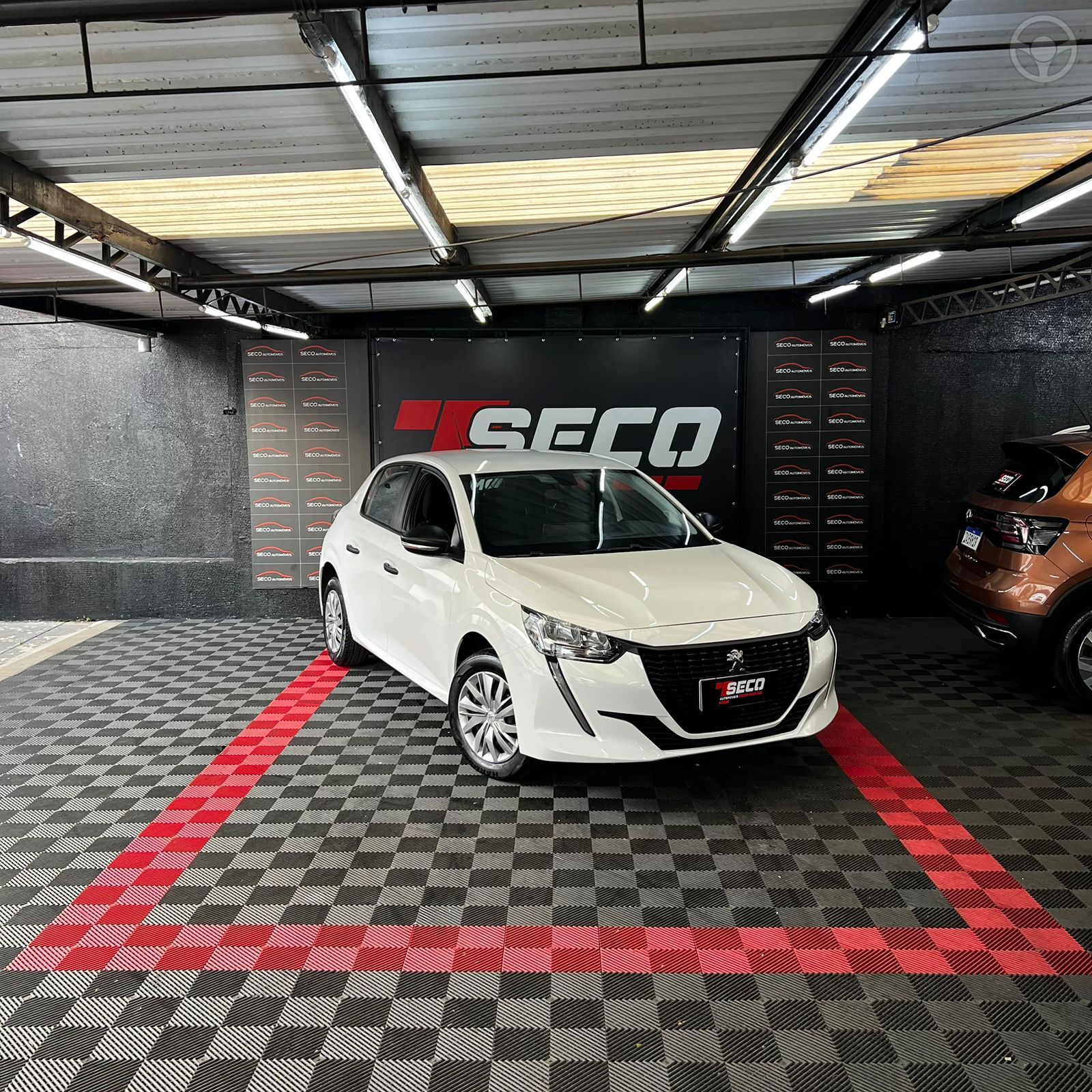 208 1.0 FIREFLY FLEX LIKE MANUAL - 2024 - PASSO FUNDO