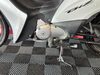 BIZ 125 EX - 2011 - PASSO FUNDO
