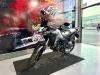 XRE 300 SAHARA - 2024 - PASSO FUNDO