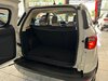 ECOSPORT 1.5 TITANIUM 16V FLEX 4P AUTOMÁTICO - 2020 - SANTA CRUZ DO SUL
