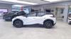 X 66 KW ELÉTRICO PREMIUM - 2025 - PASSO FUNDO
