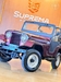 JEEP CJ-5 - 1962 - PASSO FUNDO