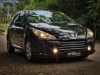 PEUGEOT 307 FELINE AUT - 2009 - ERECHIM