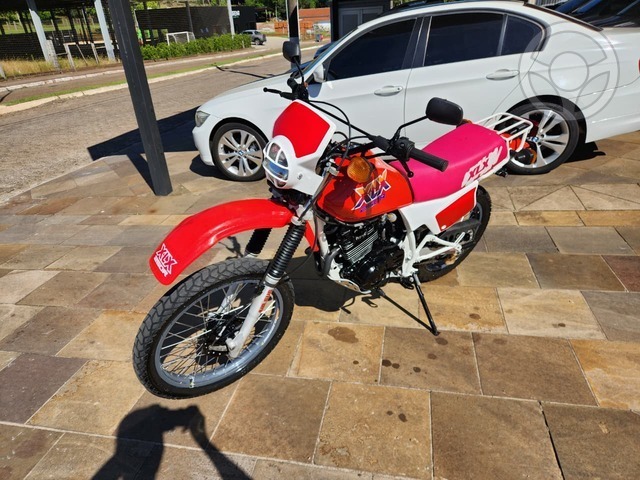 HONDA XLX 250 R - 1989 - ANTA GORDA
