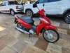 BIZ 110 - 2023 - ANTA GORDA