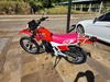 HONDA XLX 250 R - 1989 - ANTA GORDA
