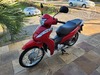 BIZ 110 - 2023 - ANTA GORDA