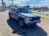 RENEGADE 2.0 16V TURBO DIESEL TRAILHAWK 4P 4X4 AUTOMÁTICO - 2021 - TAQUARA