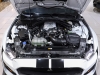 MUSTANG 5.4 SHELBY GT 500 COUPÉ V8 32V 2P MANUAL - 2021 - CAXIAS DO SUL
