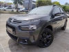 C4 CACTUS 1.6 VTI 120 FLEX SHINE EAT6 - 2023 - CAXIAS DO SUL