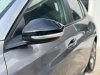 208 1.0 FIREFLY FLEX ACTIVE MANUAL - 2025 - CAXIAS DO SUL