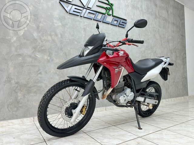 XRE 300 FLEX - 2015 - ESPUMOSO