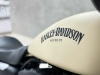 HARLEY-DAVIDSON XL 883 IRON - 2015 - ESPUMOSO