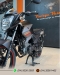 FAZER YS 150 SED - 2021 - CAXIAS DO SUL