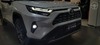 RAV4 2.5 SX CONNECT AWD VVT-IE HYBRID 4P AUTOMÁTICO - 2025 - CAXIAS DO SUL