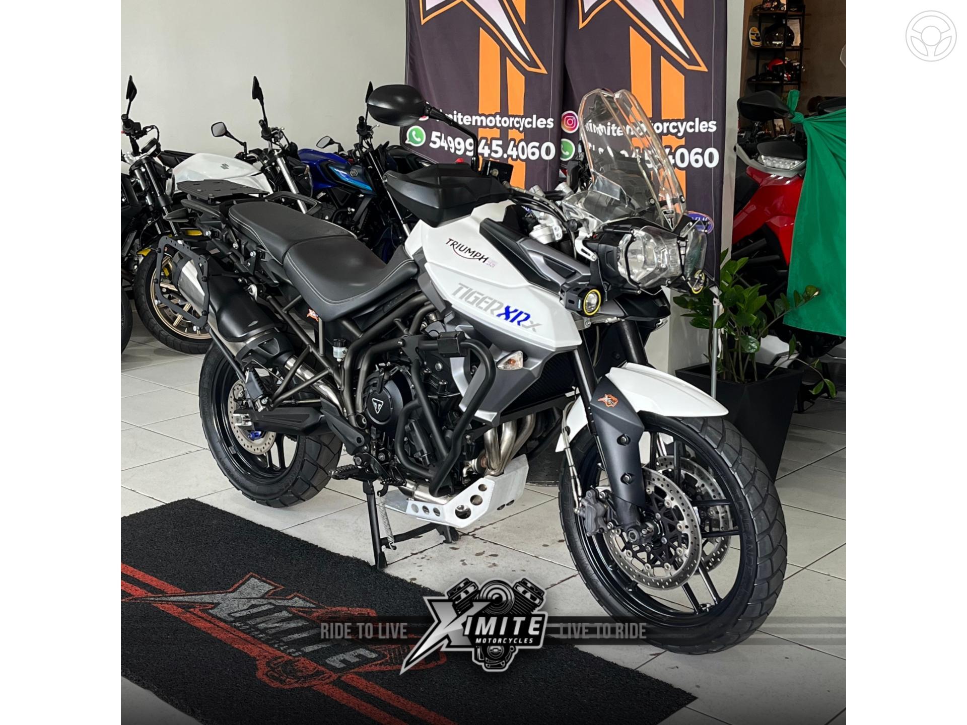 TIGER EXPLORER XCX - 2016 - CARAZINHO