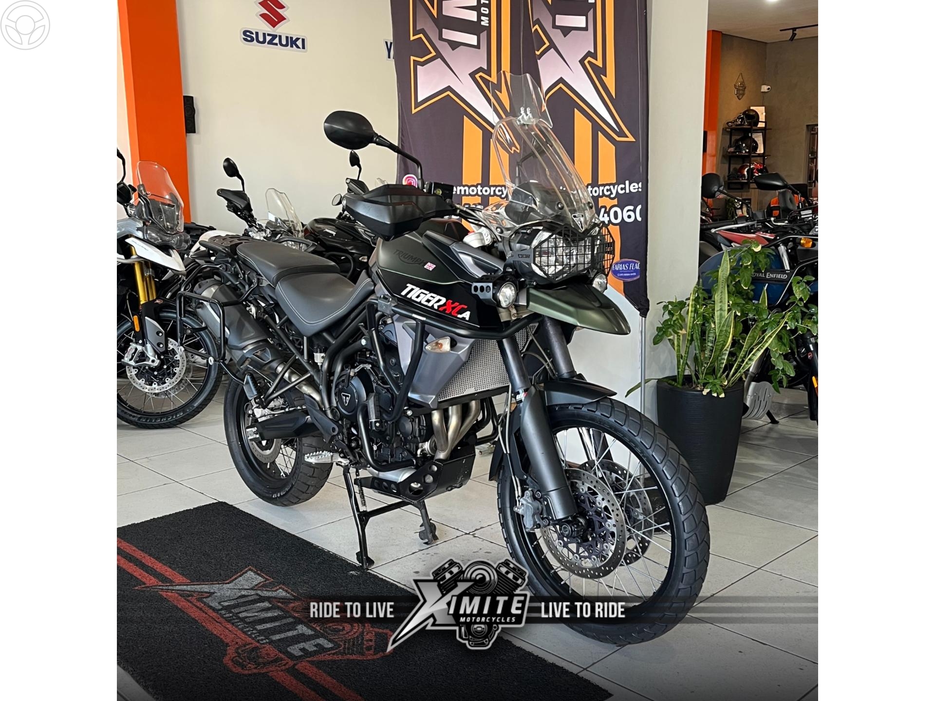 TIGER 800 XCA - 2016 - CARAZINHO