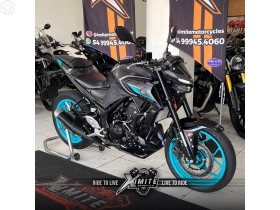 MT 03 ABS