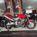 CB 600F HORNET - 2005 - CARAZINHO