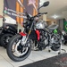 STREET TRIPLE 675 ABS - 2024 - CARAZINHO