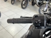 NINJA 300 ABS LIMITED EDITION - 2023 - CARAZINHO