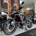 TIGER EXPLORER ABS - 2024 - CARAZINHO