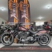 SOFTAIL BREAKOUT - 2018 - CARAZINHO