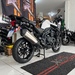 TIGER EXPLORER ABS - 2014 - CARAZINHO