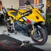 GSXR 1000 - 2005 - CARAZINHO