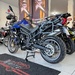 TIGER 800 XR - 2014 - CARAZINHO