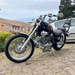 XV 535S VIRAGO - 1999 - CARAZINHO