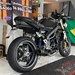 SPEED TRIPLE 1050I - 2009 - CARAZINHO