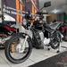 CG 125 FAN ES - 2010 - CARAZINHO