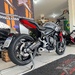 STREET TRIPLE 675 ABS - 2024 - CARAZINHO