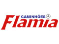 Flamia Caminhões