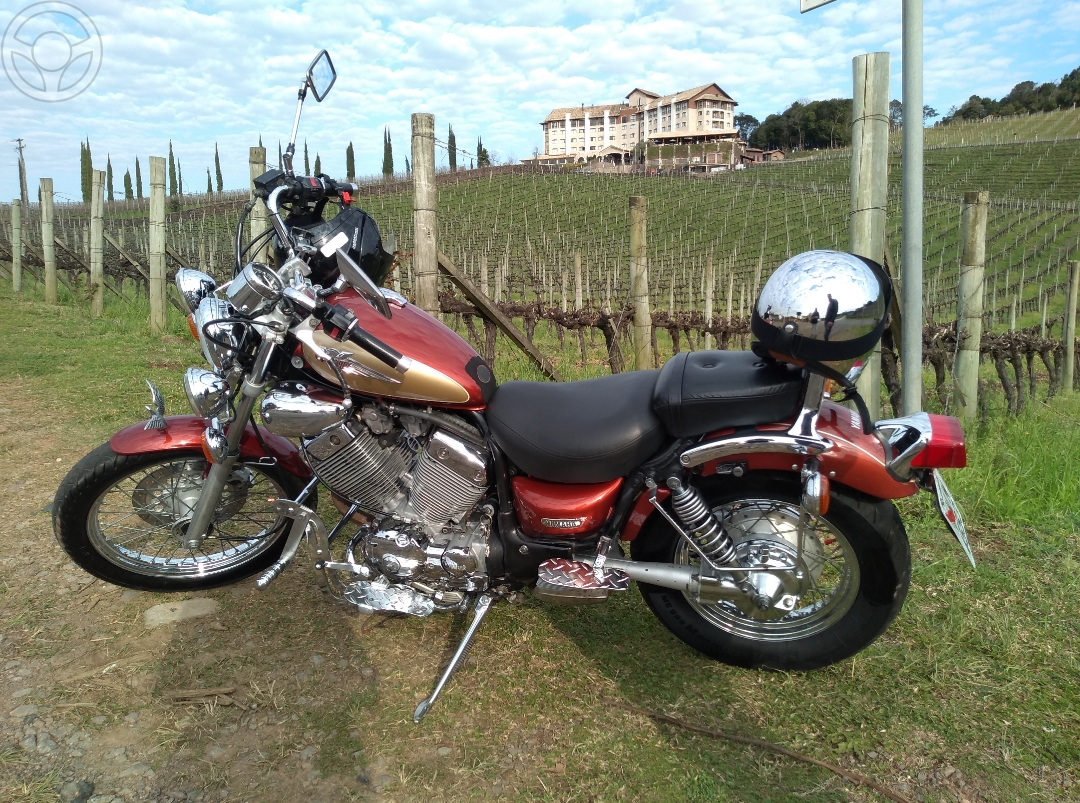 VIRAGO XV 535  - 2001 - FARROUPILHA 