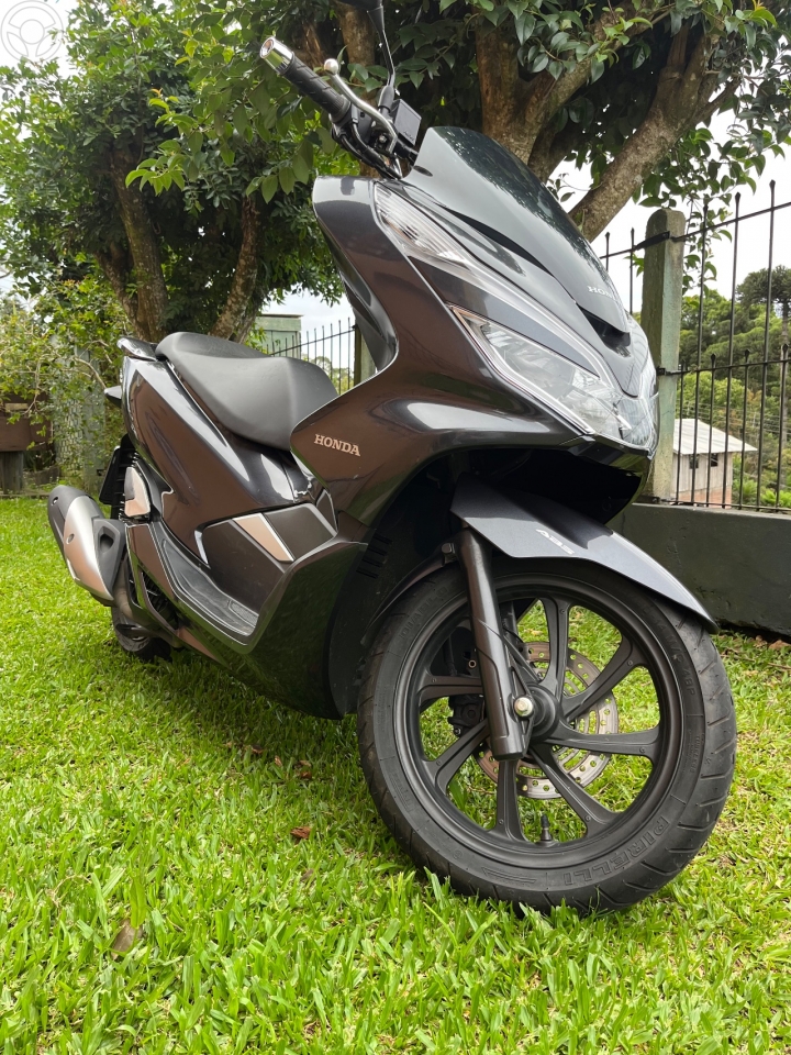 PCX DLX - 2022 - CANELA