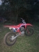 CRF 230F  - 2010 - NOVA PADUA 